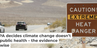 Rising global temperatures are increasing the risk of heat stroke on hot days, among many other human harms. Ronda Churchill/AFP via Getty Images